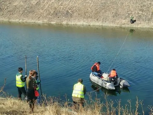 白云区TWC生物蜡块厂家