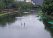 广东水污染治理