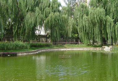 广东河道治理哪里找