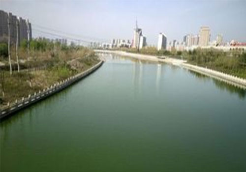 TWC生物净水蜡块